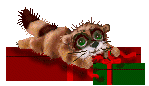 racoon & package.gif (52341 bytes)